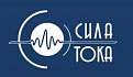 Компания «Сила тока»