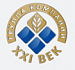 21 век